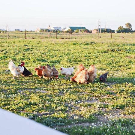 Aintree Farm Cottage Langebaan Εξωτερικό φωτογραφία