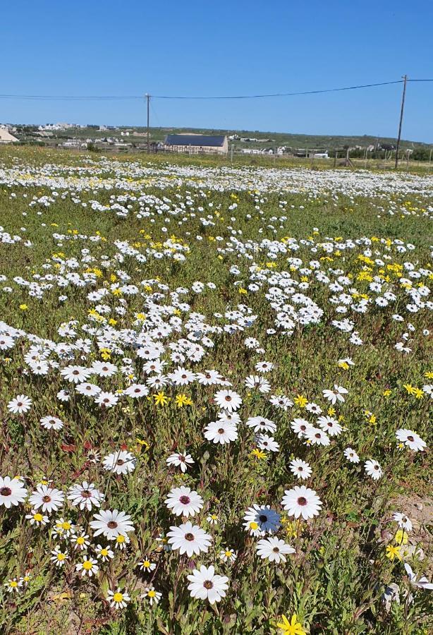 Aintree Farm Cottage Langebaan Εξωτερικό φωτογραφία